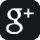 Google Plus Icon